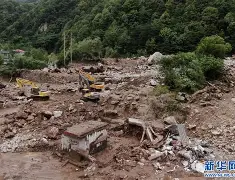 Faker中超首位下课主帅赛后发声的简单介绍